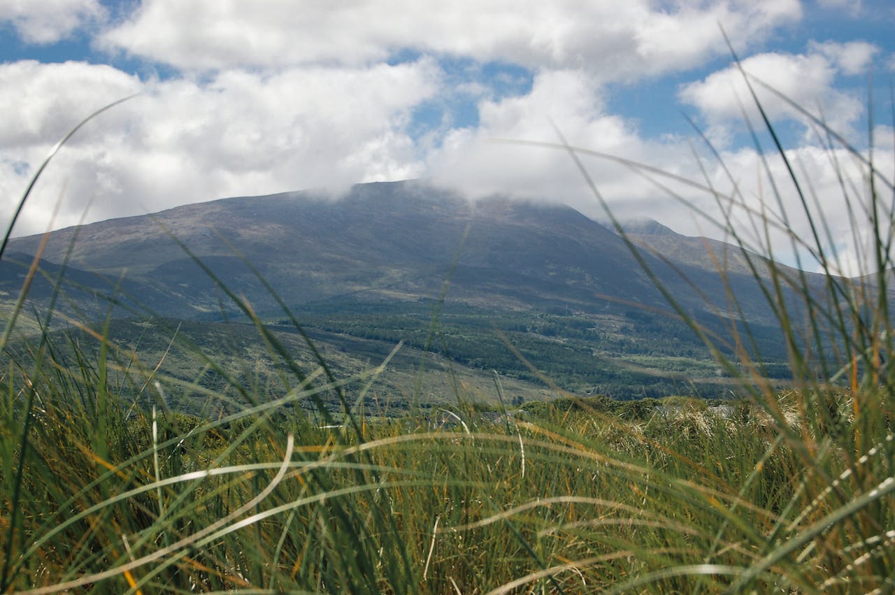 Green fields in the Mourne Mountains